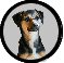 Pearson family profile